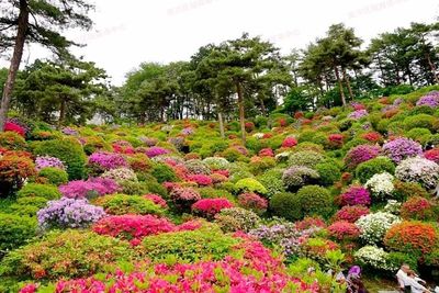 七月南川新景 蔬菜種植新去處，休閑農業新體驗